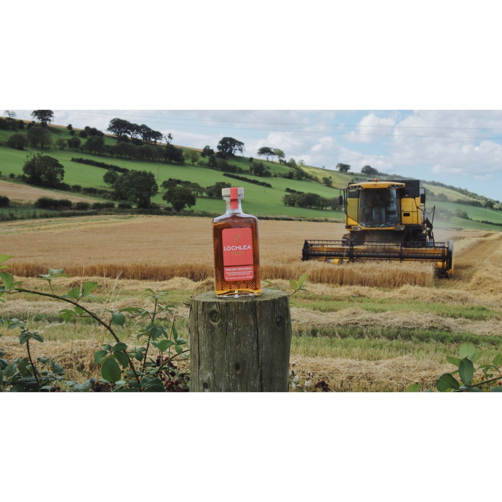 Lochlea Harvest Edition (First Crop) - Single Malt Scotch Whisky