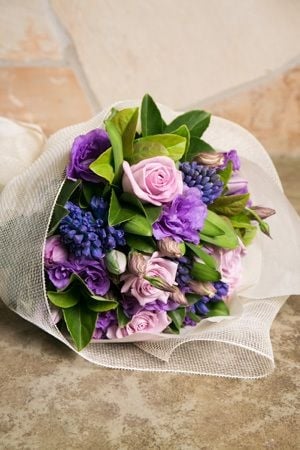 Purple Passion
