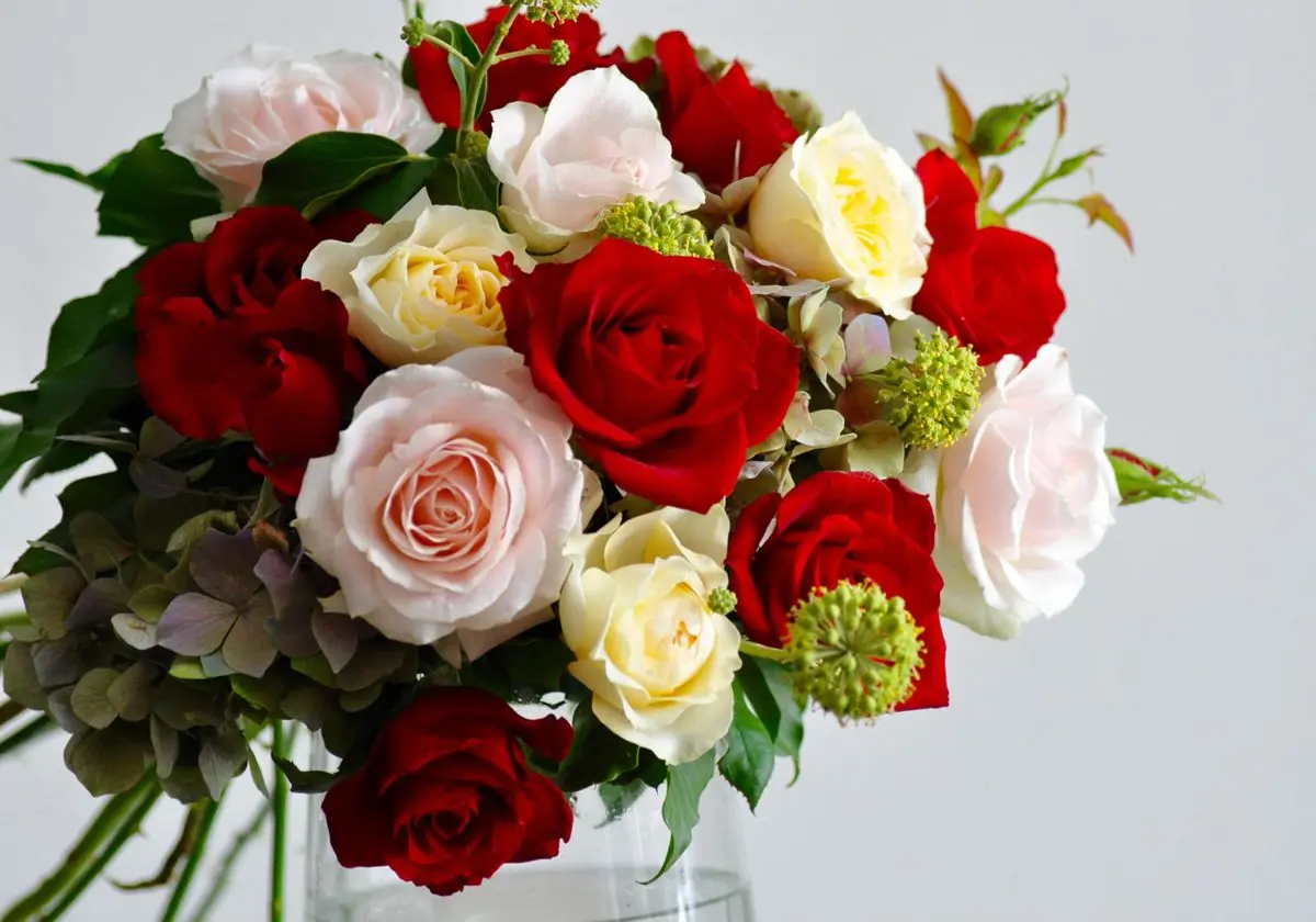 Colour of My Love
