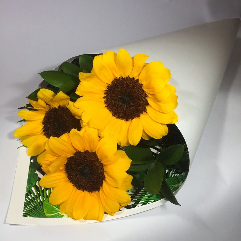 Triple Sunflower