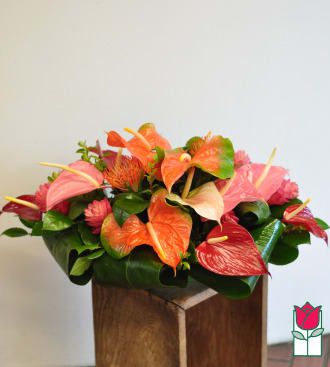 Beretania's Tropical Centerpiece (Standard)