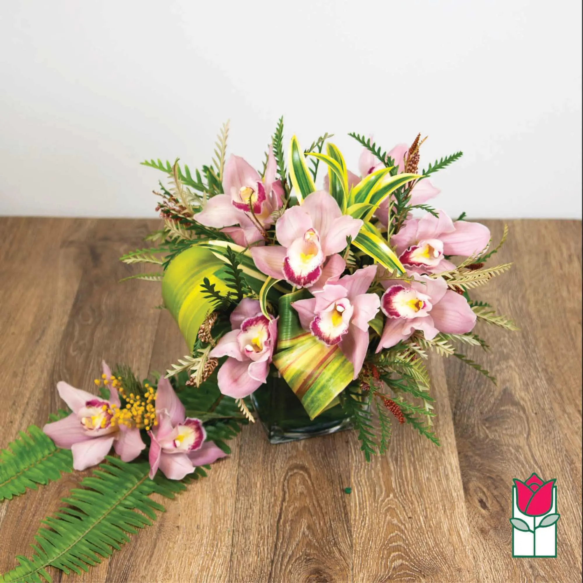Beretania's Sandys Tropical Bouquet (Varieties Vary)