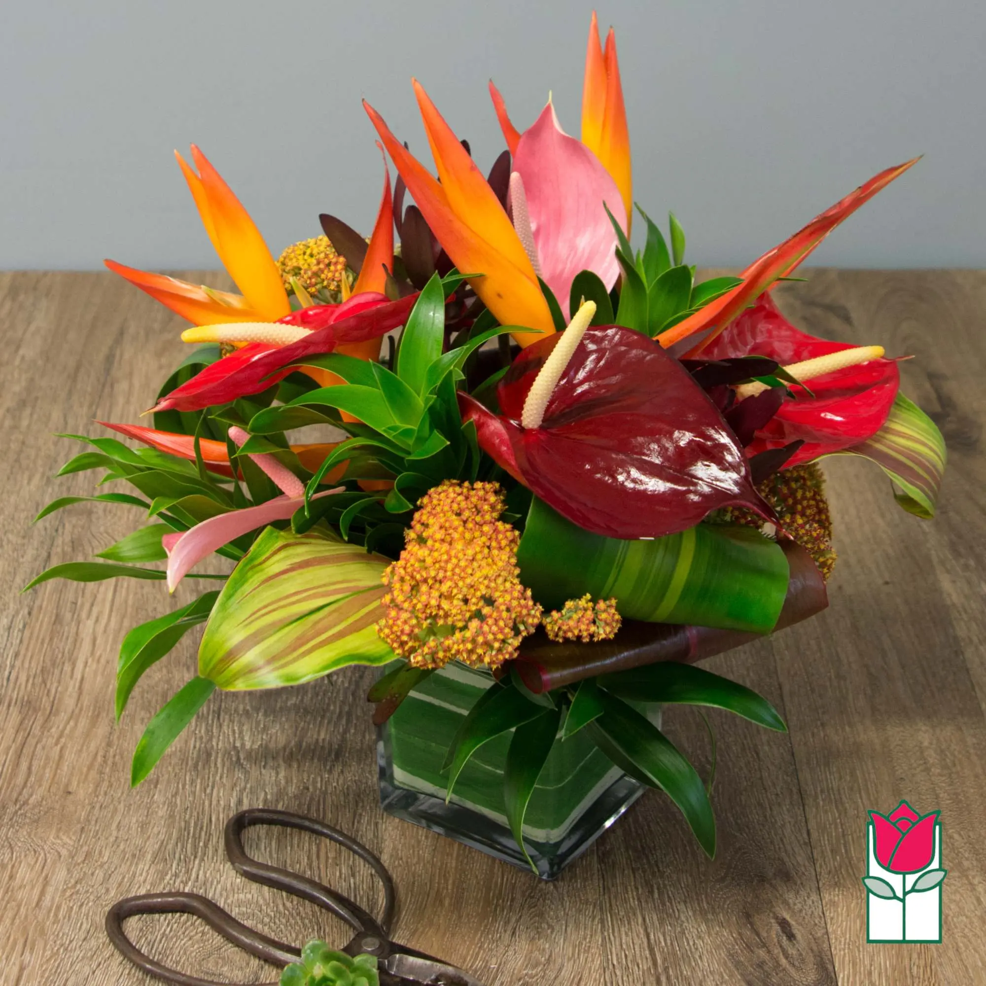 Beretania's Seaside Tropical Bouquet (Varieties Vary)