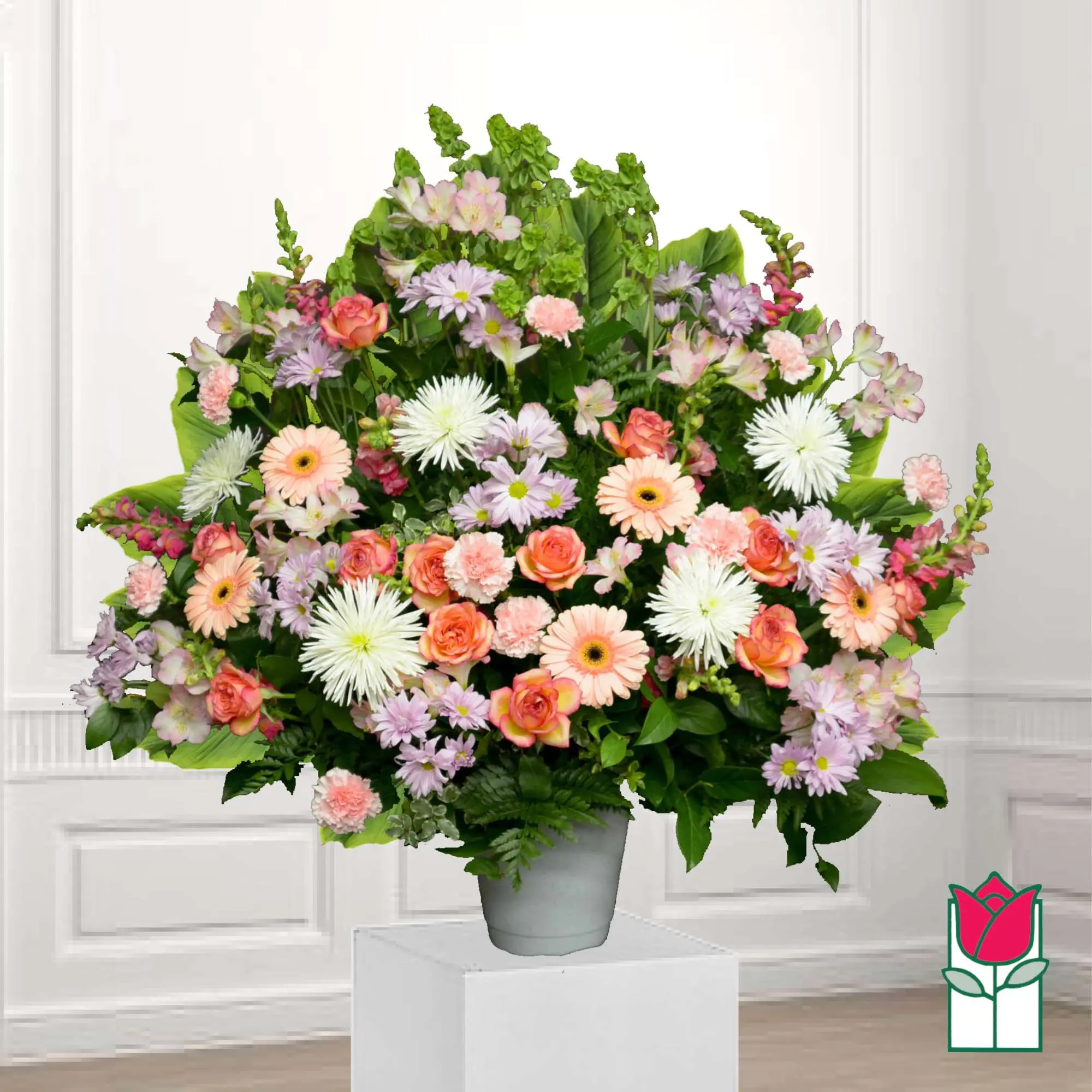 Beretania's Nohu Sympathy Arrangement (Standard)