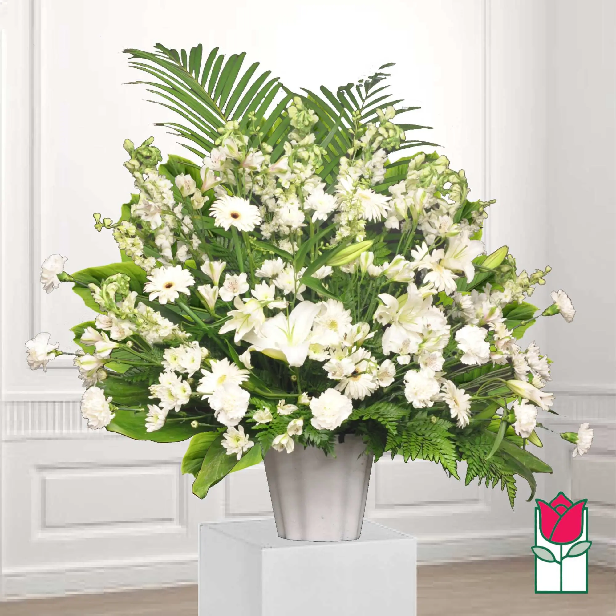 Beretania's Paia Sympathy Arrangement (Standard)