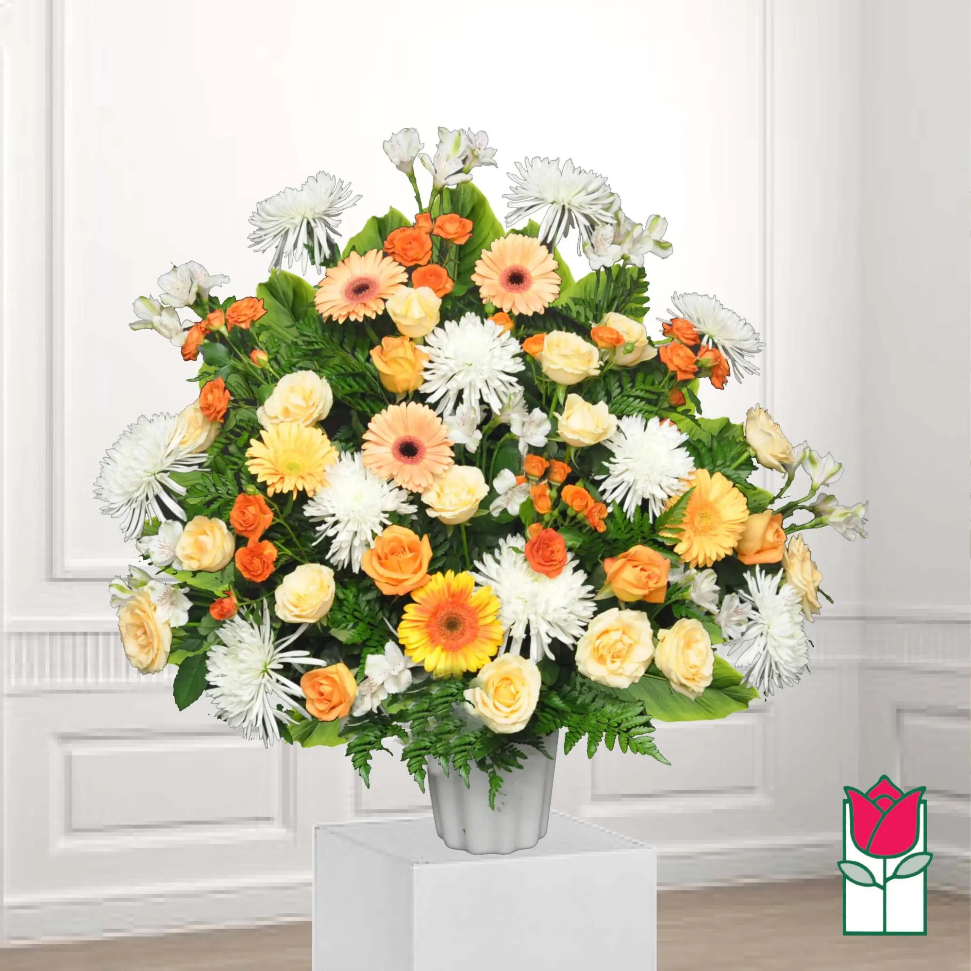Beretania's Waikapu Sympathy Arrangement (Standard)