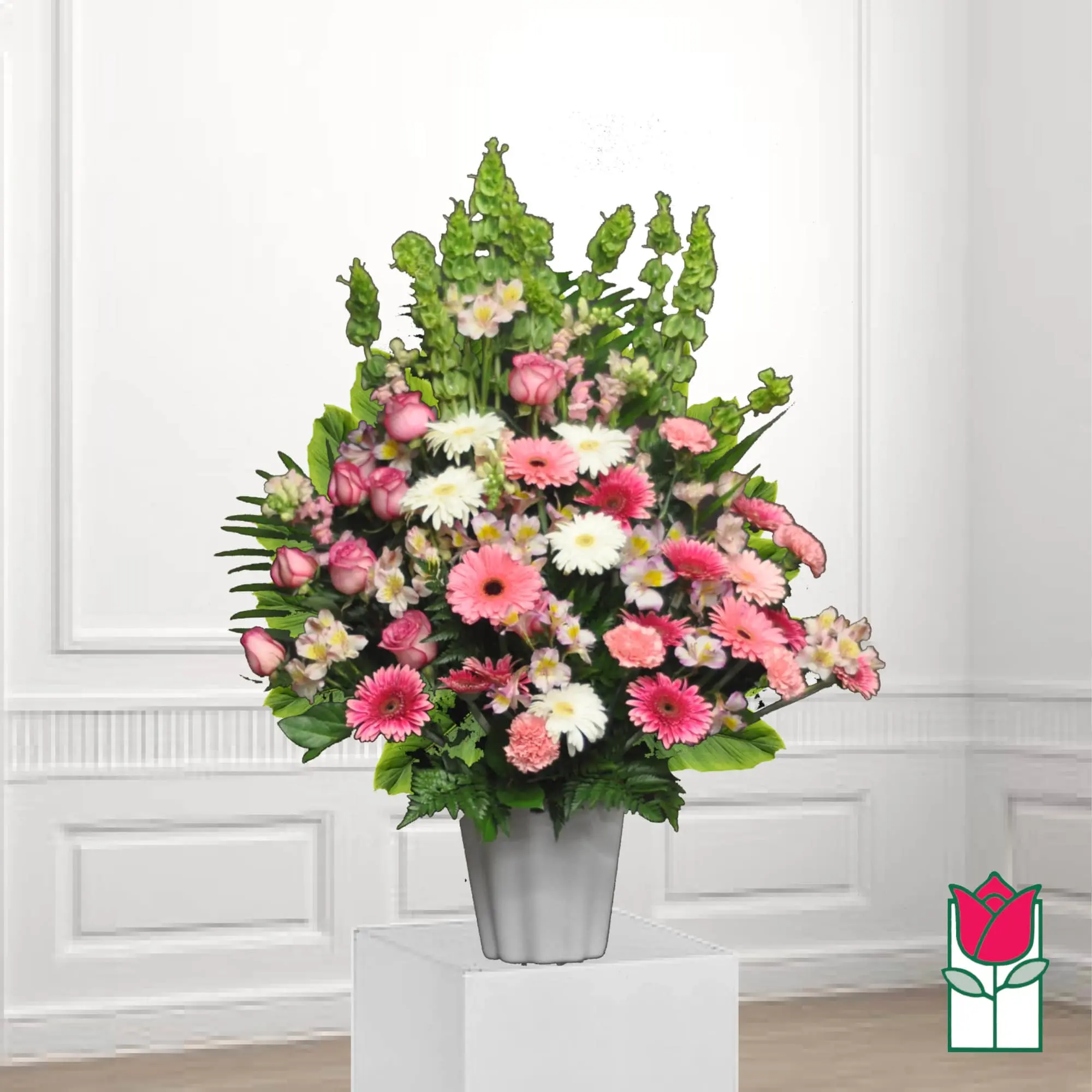 Beretania's Alaupapa Sympathy Arrangement (Standard)