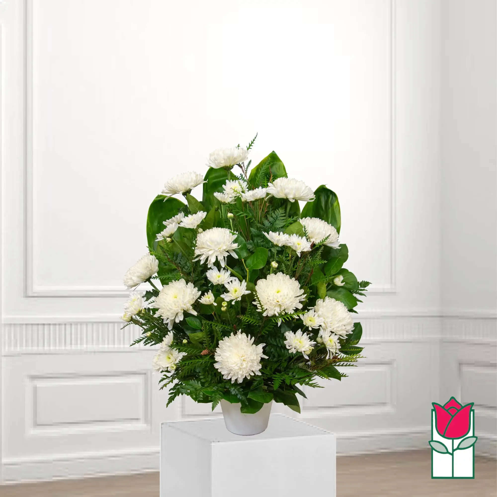 Beretania's Lokahi Sympathy Arrangement (Standard)