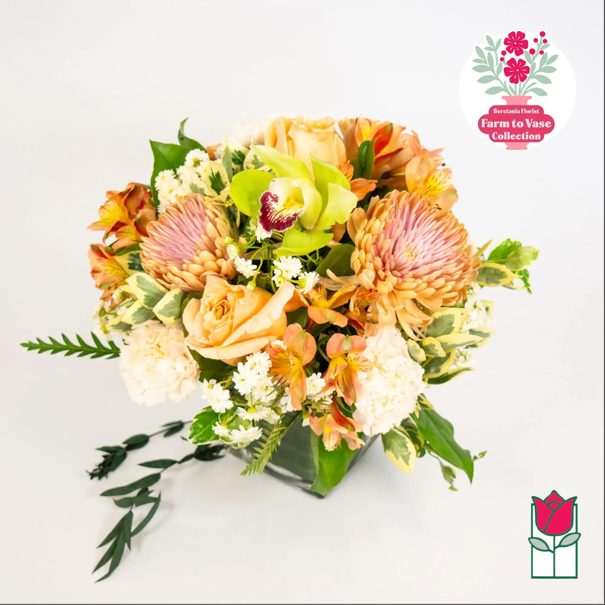 Farm To Vase (Week 35) [Varieties Vary]