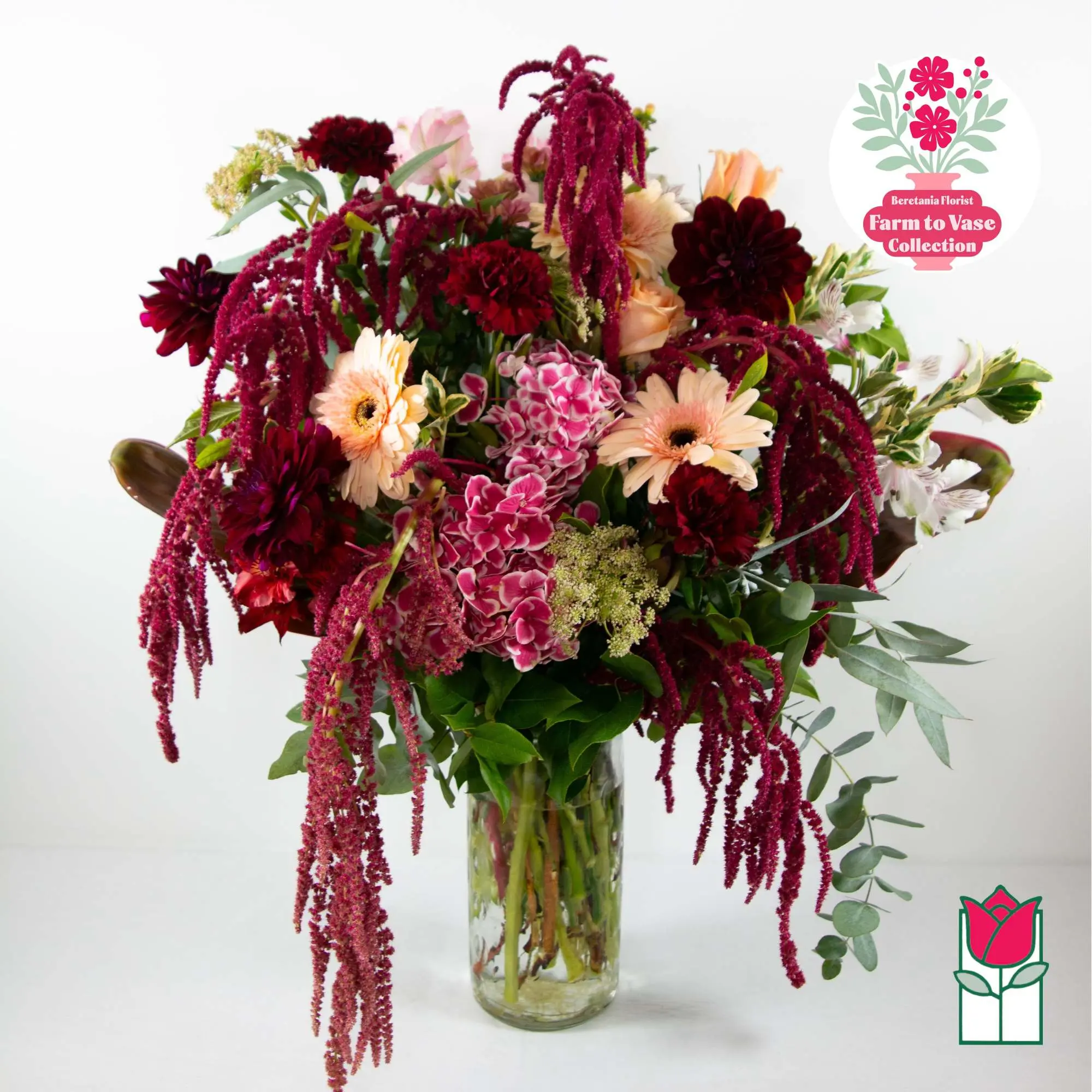 Farm To Vase (Week 1) [Varieties Vary]