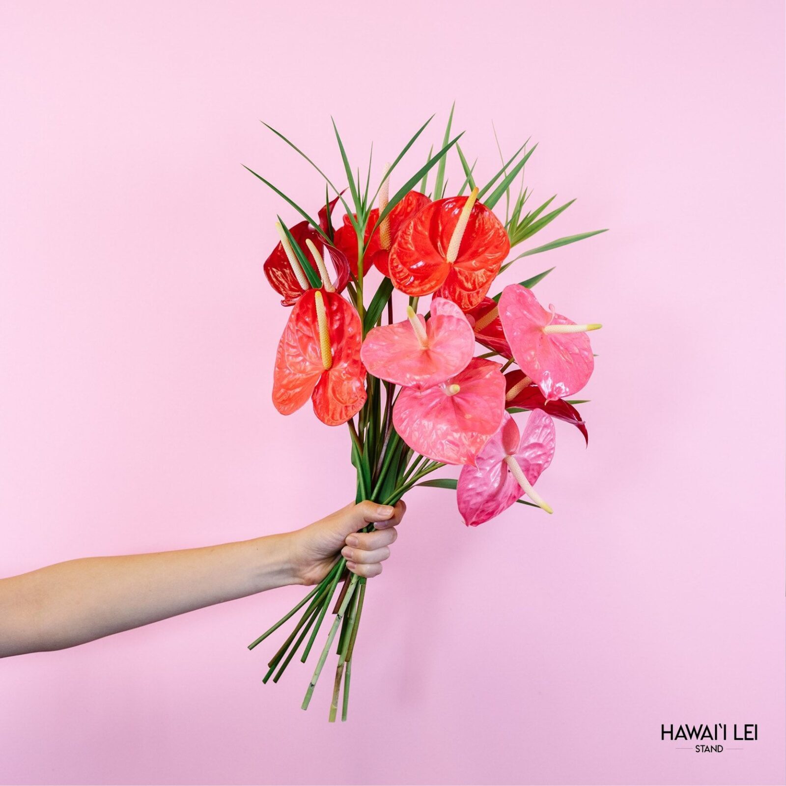 The Anthurium Bouquet (Seasonal Colors Vary) The Standard (12 Stems)