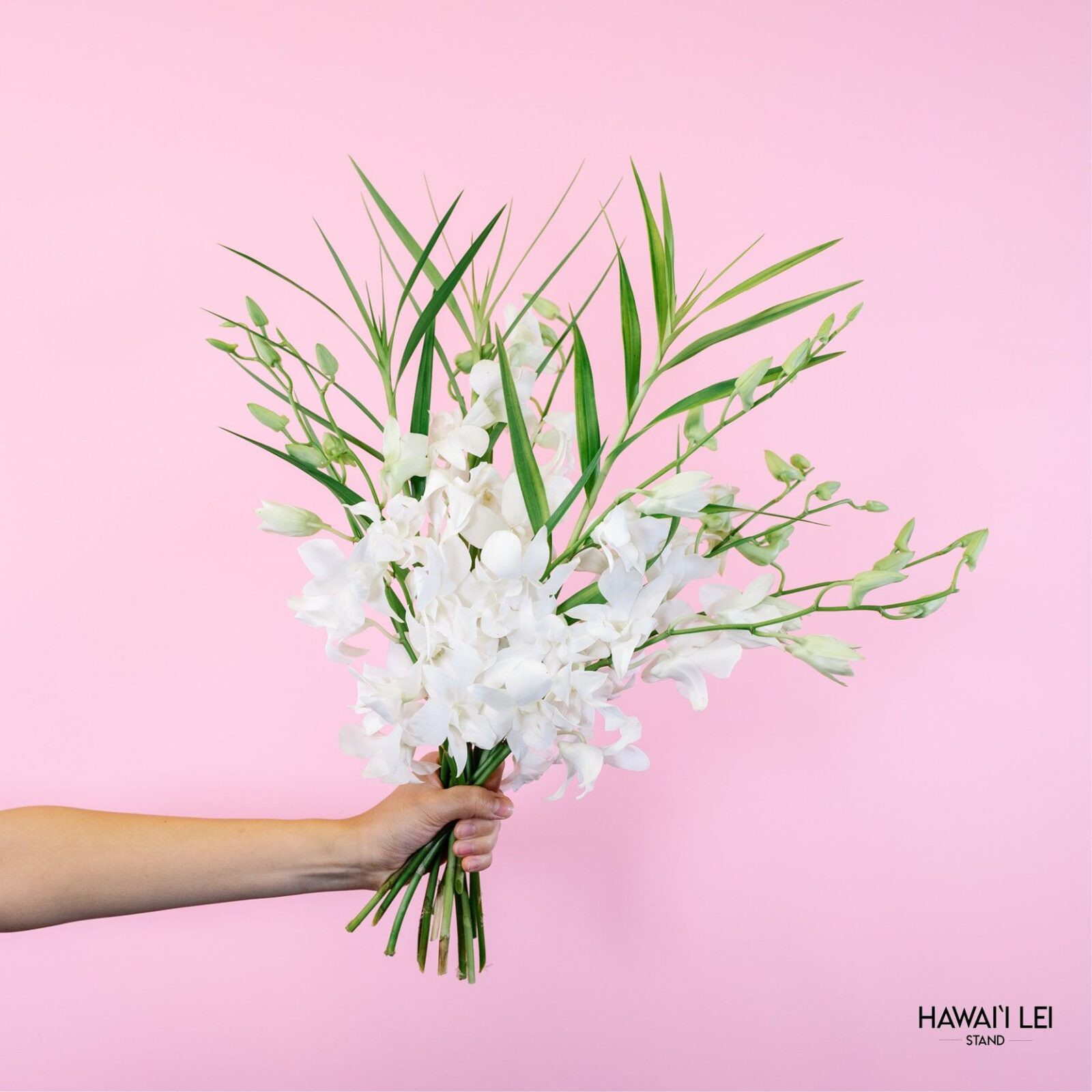 The Dendrobium Orchid Bouquet - The Standard White (10 Stems)