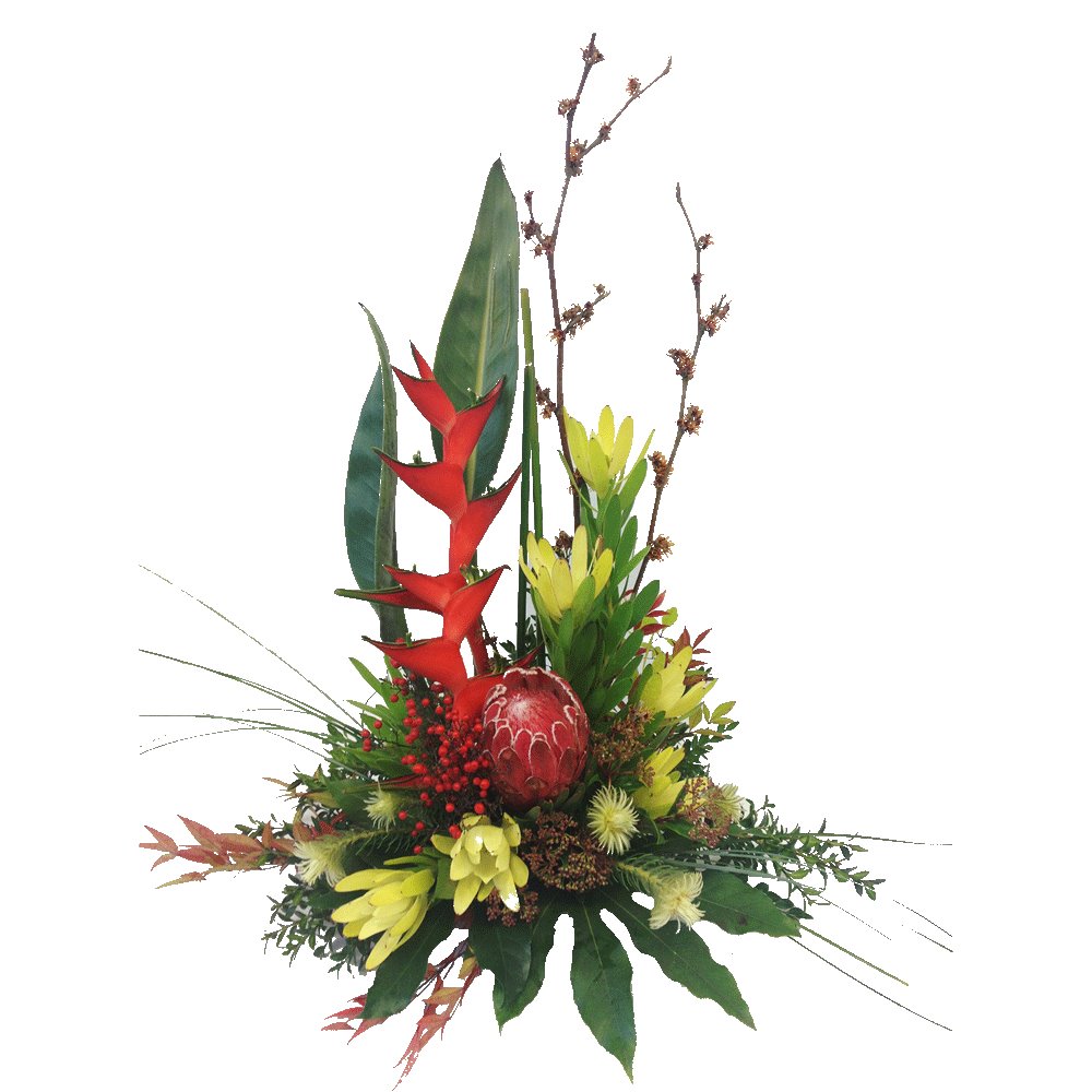 Native Arrangement (Small)