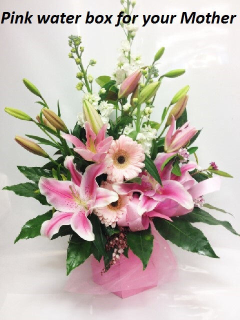Pastel Pink Water Box (Small)