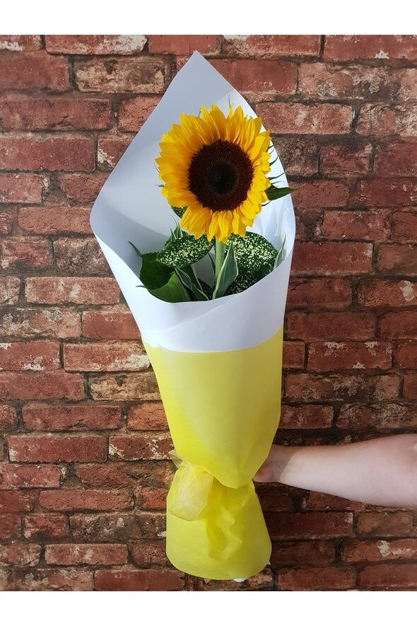 Single Sunflower