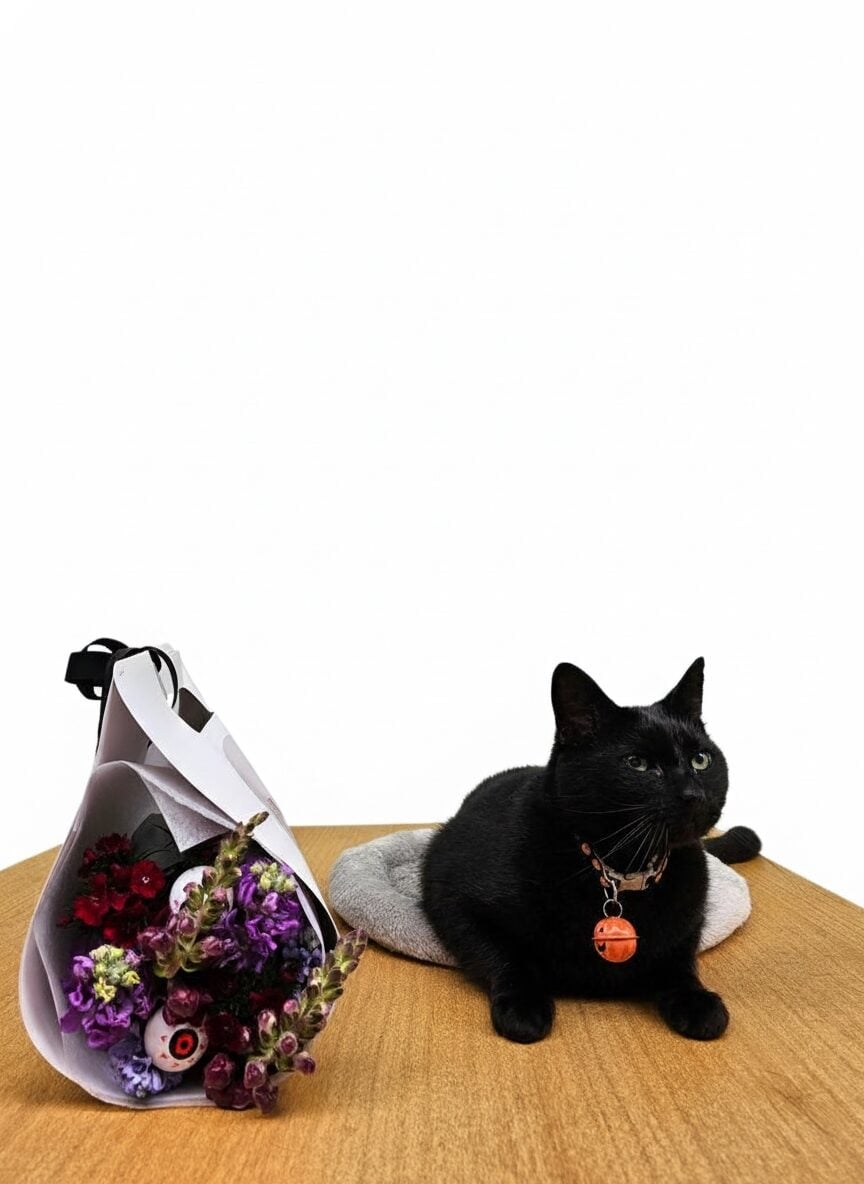 Boo bag