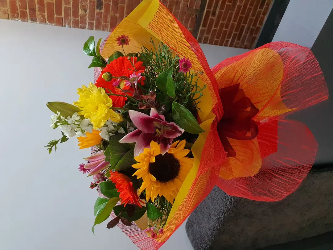 Frightfully Bright (Modest)