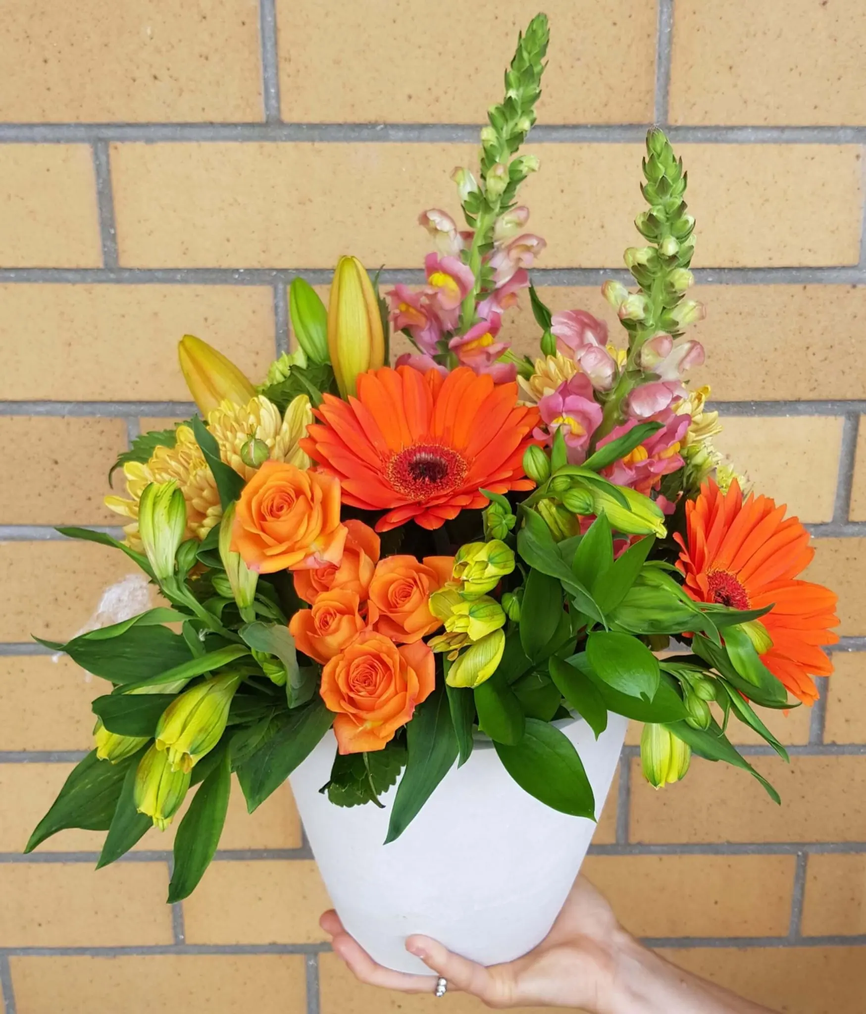 Bright Eco Pot