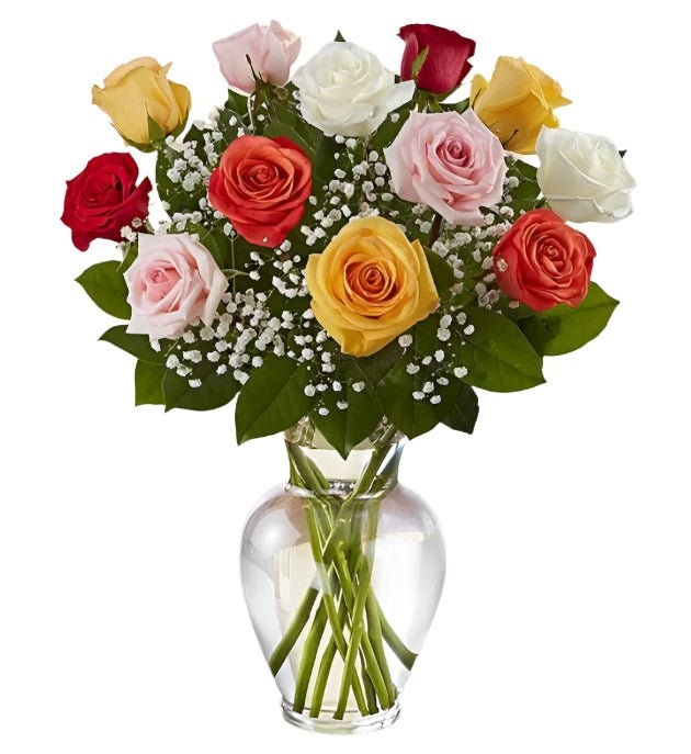 Premium Dozen Assorted Color Roses Arranged with Filler