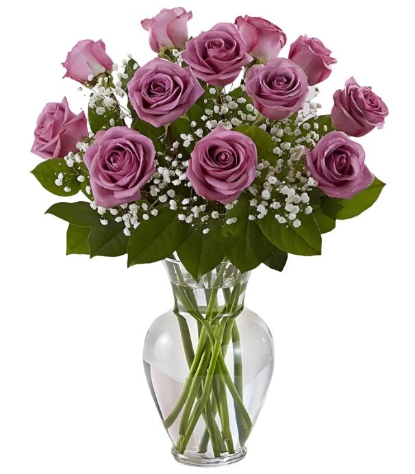 Premium Dozen Lavender Roses Arranged with Filler