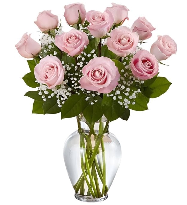 Premium Dozen Pink Roses Arranged with Filler