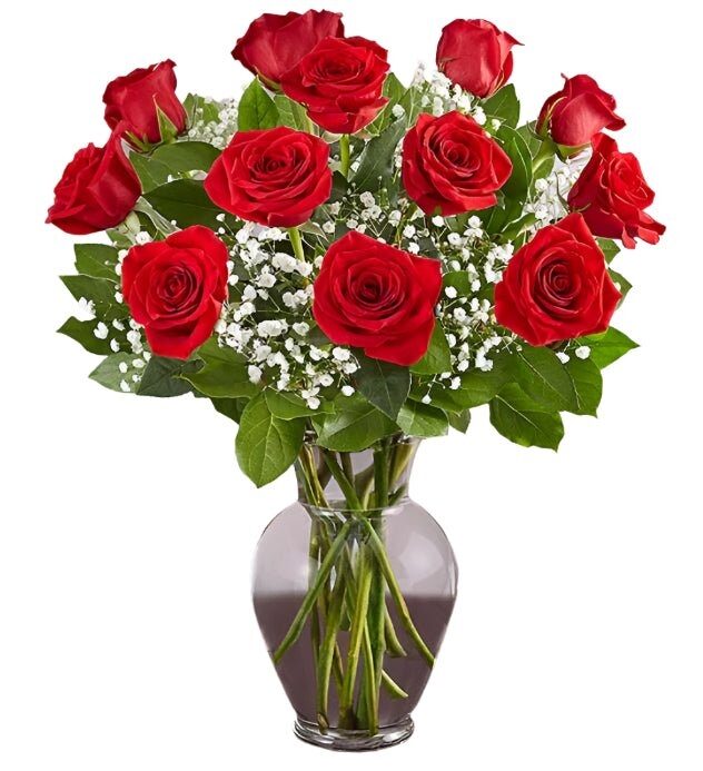 Premium Dozen Red Roses Arranged with Filler (Basic Vase)