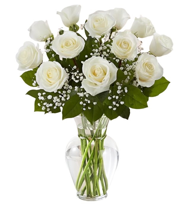 Premium Dozen White Roses Arranged with Filler