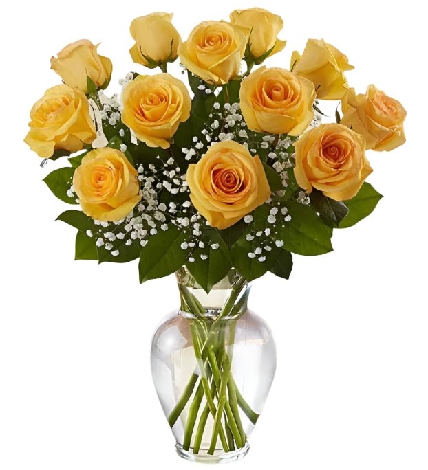 Premium Dozen Yellow Roses Arranged with Filler