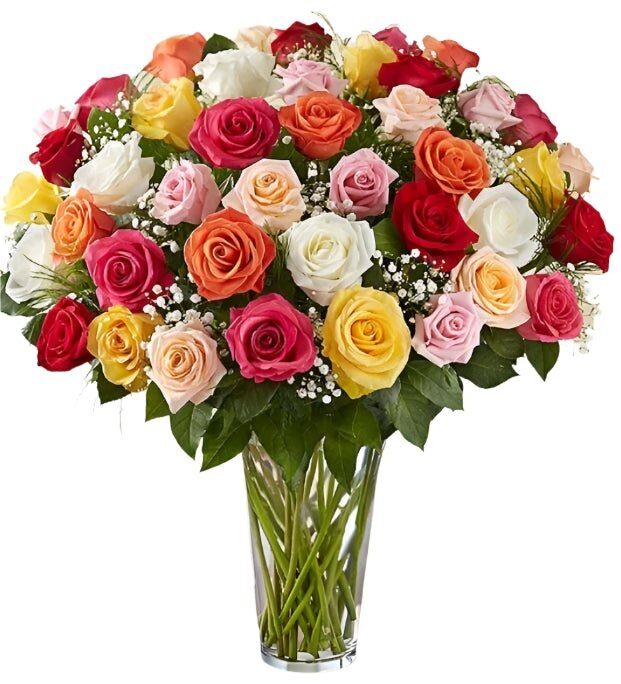 Premium Assorted Color Roses Arranged with Filler (18 Stems)