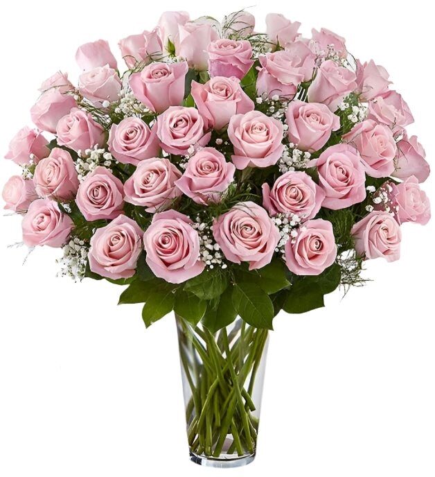 Premium Pink Roses Arranged with Filler (18 Stems)