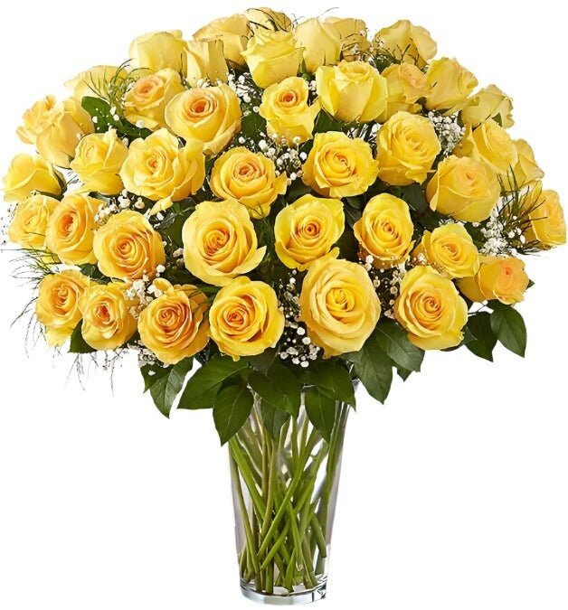 Premium Yellow Roses Arranged with Filler (18 Stems)