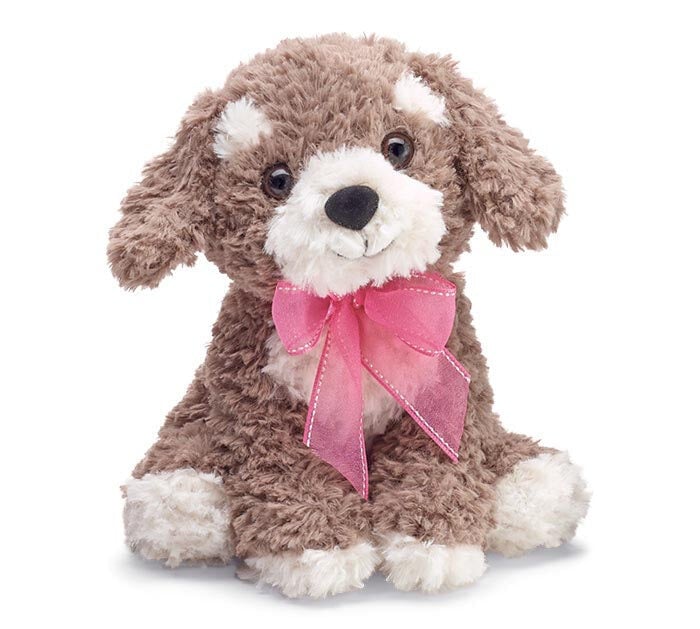 Curly Puppy