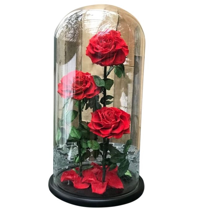 Enchanted Beauty Triple Rose