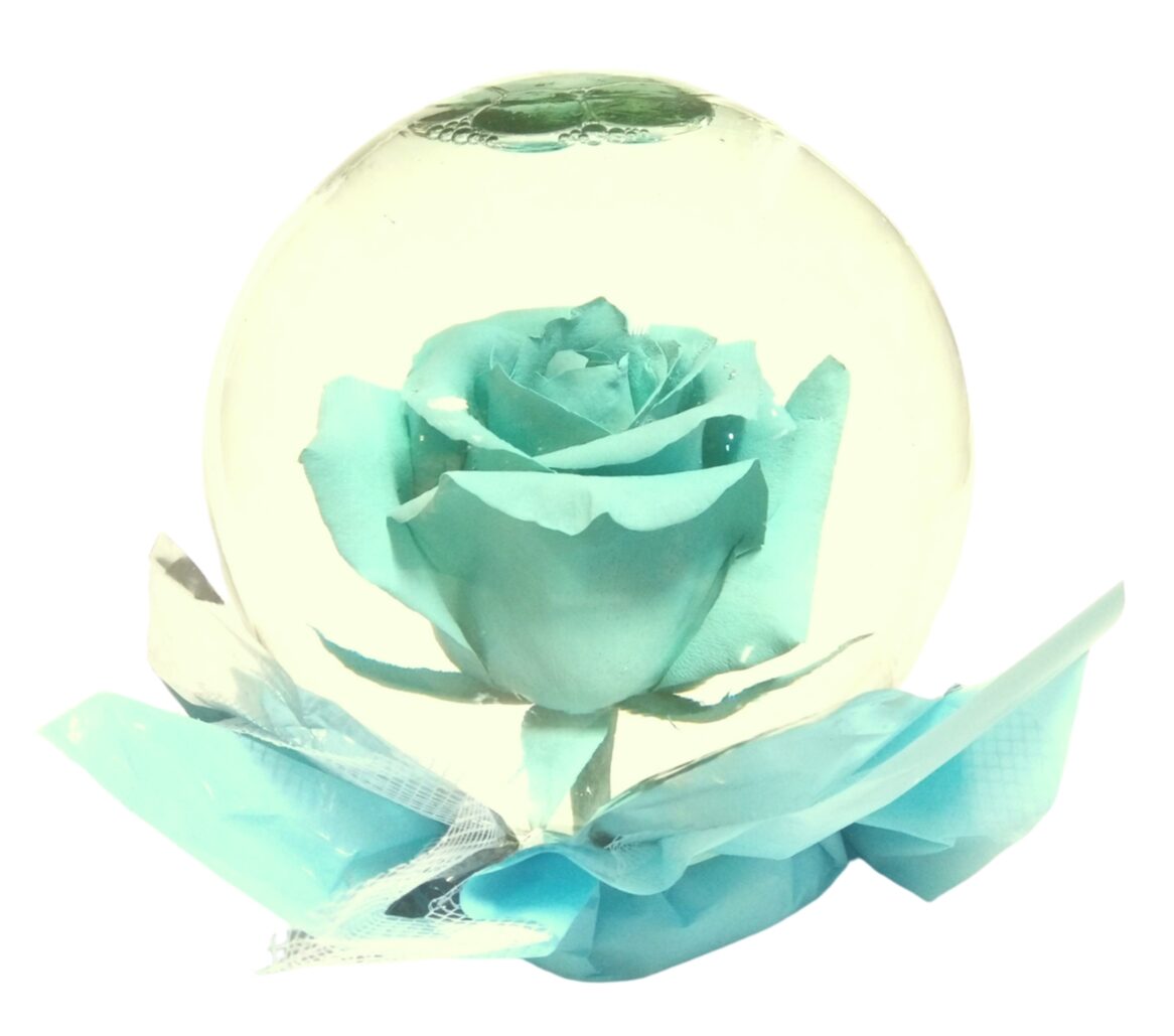 Enchanted Beauty Rose Globe