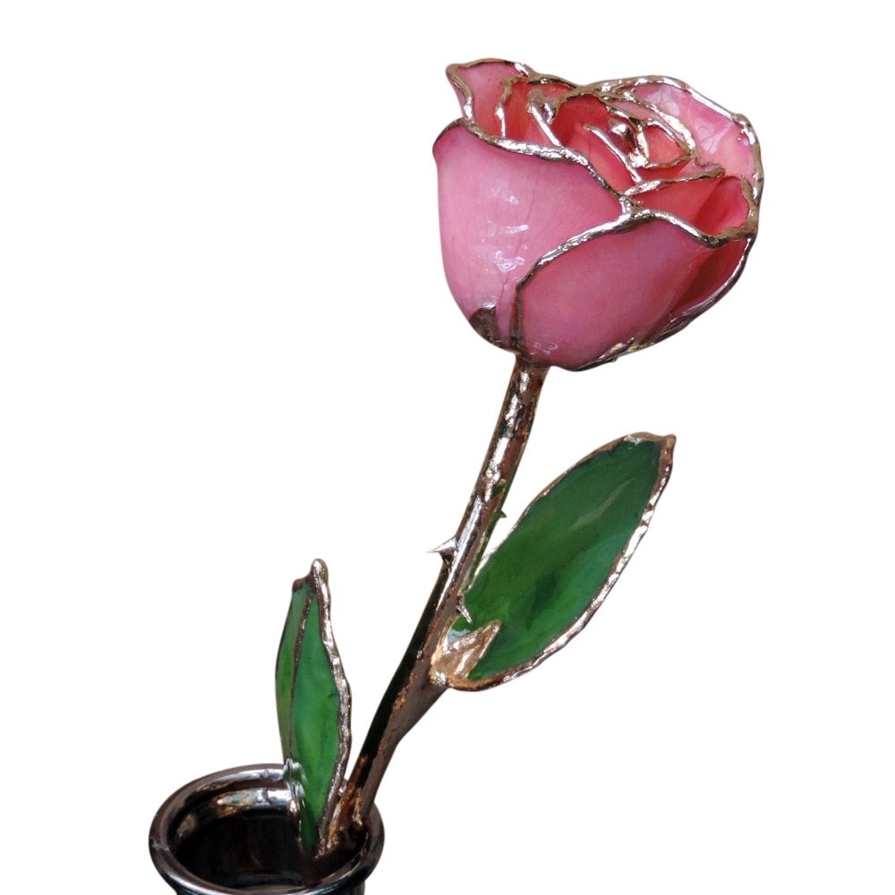 Gold Dipped Pink Rose