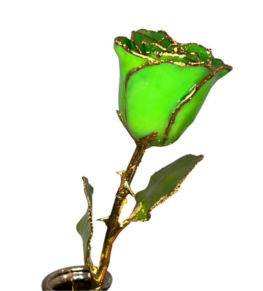 Wicked Green Gold Dipped Rose