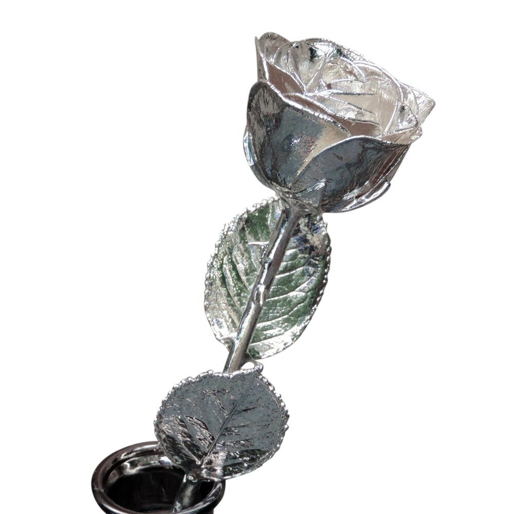 Silver Dipped Rose