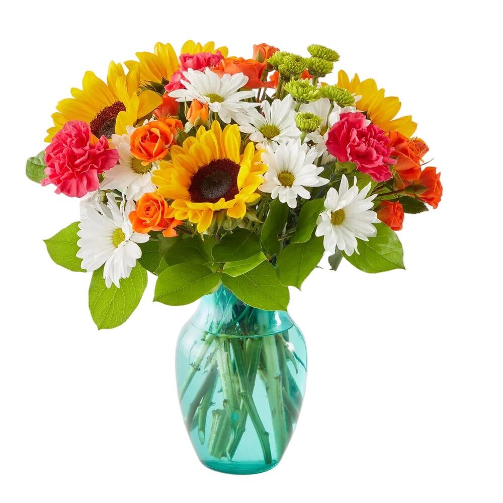 Mom's Surprise (Deluxe )
