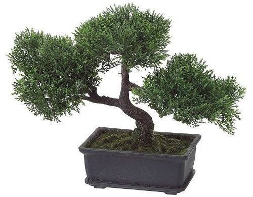 9 Inch Cedar Bonsai (Artificial)
