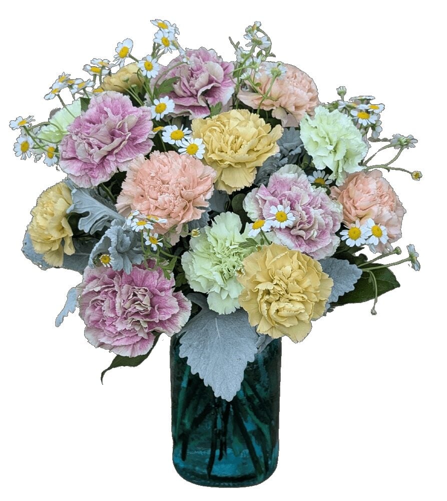 Mother's Day Carnations