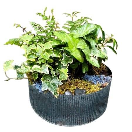 Urban Garden