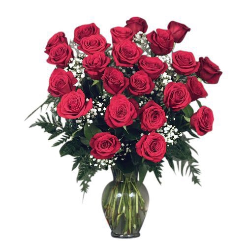 Premium Dozen Roses Arranged with Filler (Dozen Roses)
