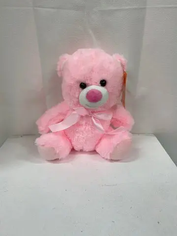 Small Pink Teddy