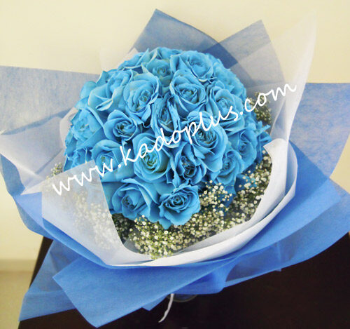 50 Blue Roses