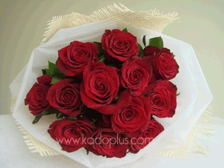 A Dozen Red Roses Bouquet