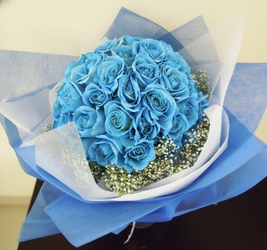 50 Blue Roses