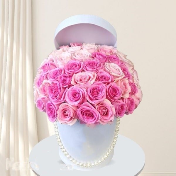 Splendeur Box: Pink Ombre