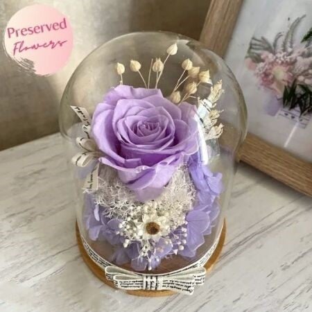 Eternal Preserved Rose Purple