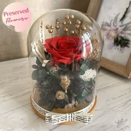 Eternal Preserved Rose Red