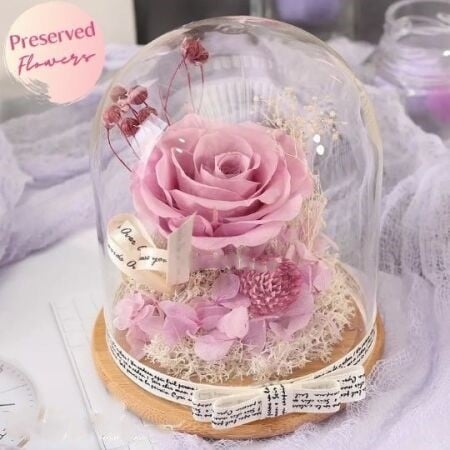 Eternal Preserved Rose Pink